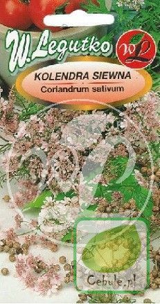 Nasiona Kolendra Siewna