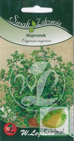 Nasiona Majeranek Ogrodowy