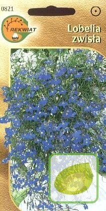 Nasiona Lobelia Zwisająca - Lobelia Pendula