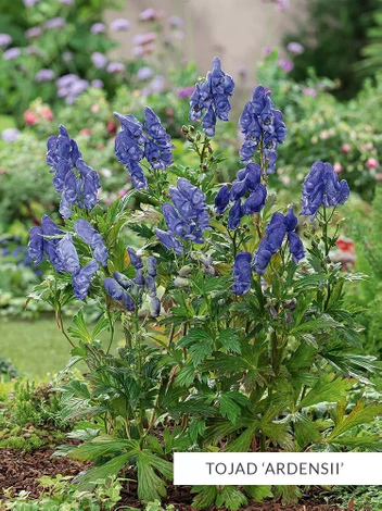 Zestaw Kolekcja Niebieska 10 szt.