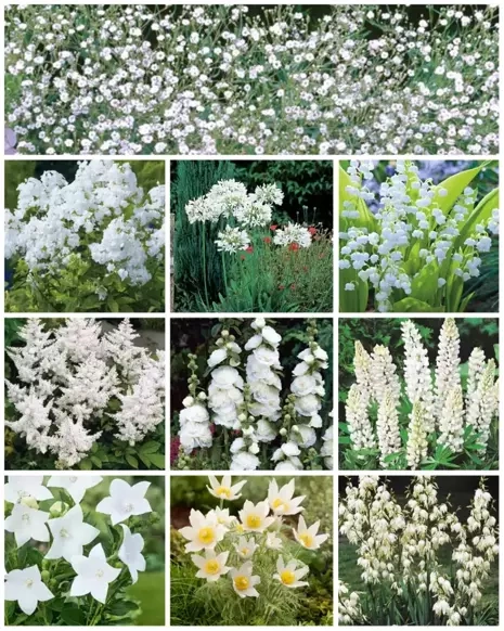 Zestaw Kolekcja Biała 10 szt.