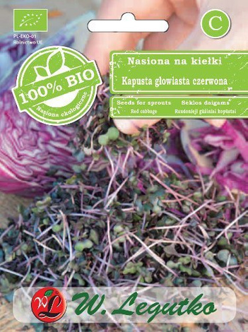 BIO Nasiona na kiełki - Kapusta Głowiasta Czerwona