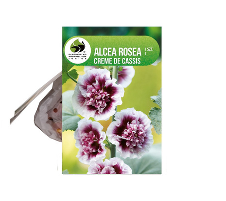 Malwa (Alcea) Creme de Cassis 1 szt.