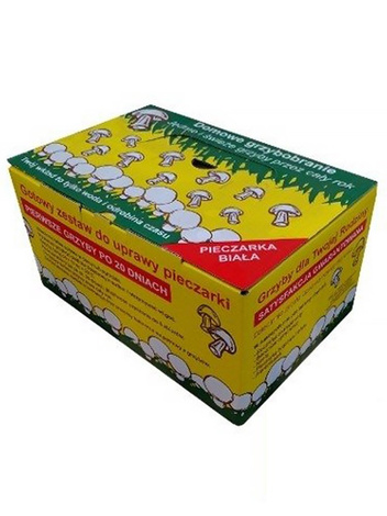 Pieczarka (Agaricus) Biała do Własnej Uprawy Domowej