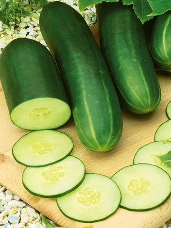 Nasiona Ogórek Sałatkowy Gracius Gładki