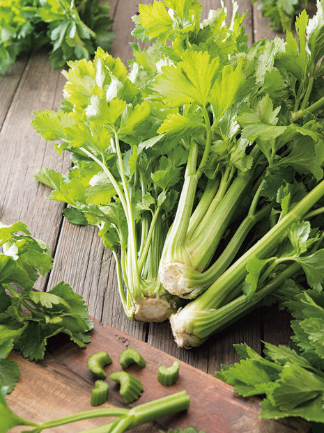 Nasiona Seler naciowy