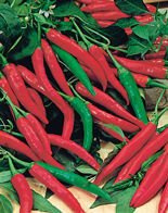 Nasiona Papryka Cayenne Ostra