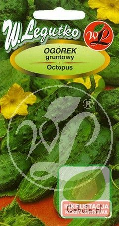 Nasiona Ogórek Gruntowy Octopus