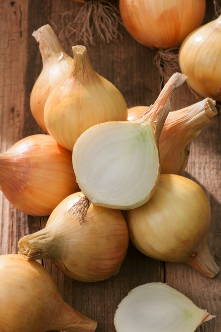 Cebula Dymka (Allium) 'Wolska' 500g