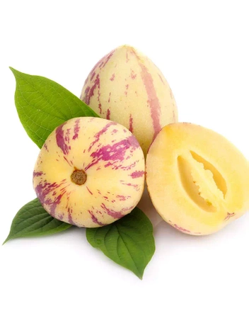 Nasiona Pepino Pyszne Owoce - Solanum Muricatum
